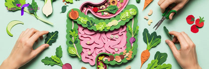 دعم-الجهاز-الهضمي