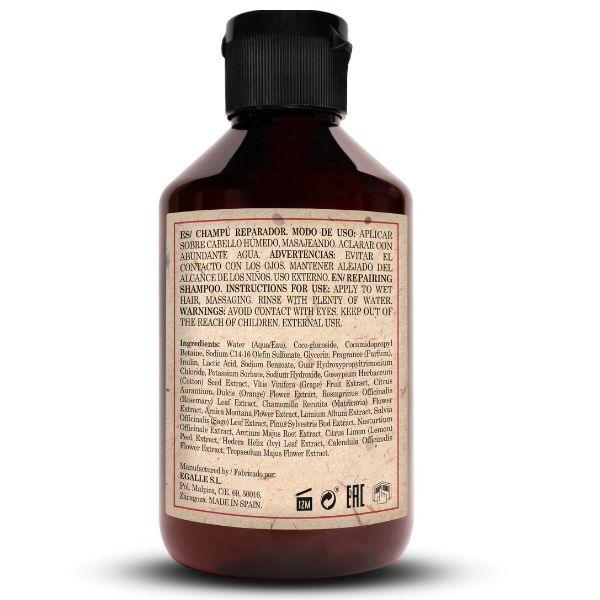 اورجينال بوتانيك شامبو حماية لاصلاح لشعر - 250 مل - Talin Store