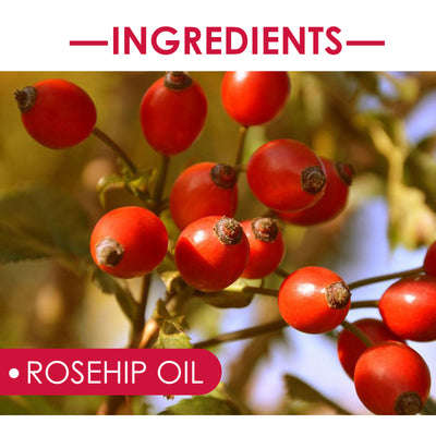 EELHOE Rosehip Facial Oil for Facial and Body Hydration, Nourishing Skin Care, Smooth Hair Care, and Massage Oil